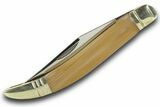 Pocket Knife with Petrified Wood Inlays & Matching Base #370792-1